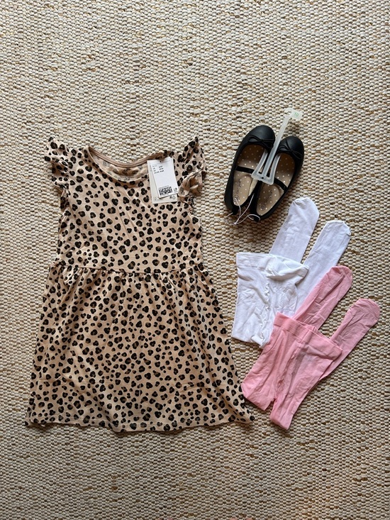 H&M Other - 5T H&M outfit with black ballet flats and Cat & Jack tights NWT